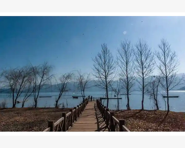 舒缓绝经不适，传承中医智慧，走进健康新篇章